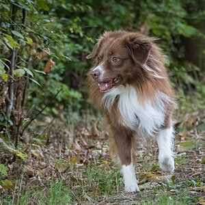 P1031691-Bearbeitet.jpg