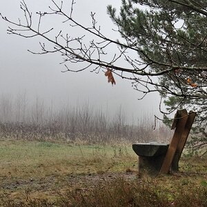 Die Bank in der Nebelheide.jpg