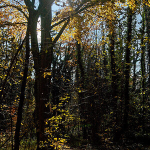 DSC_0298_DxO2.jpg