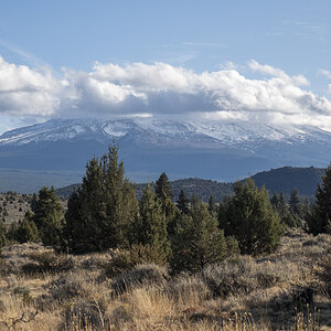 Mount Shasta.jpg