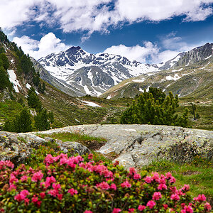 GH8_1177_sm1.jpg
