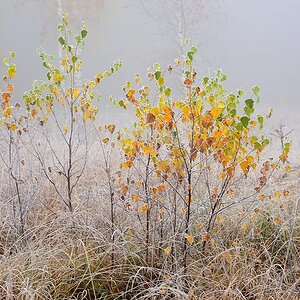 2019_24476.jpg