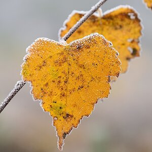 2019_24509.jpg