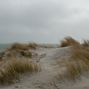 Düne Helgoland.jpg