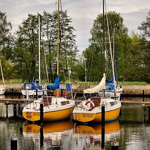 Besuch 1 in Ueckermünde.jpg