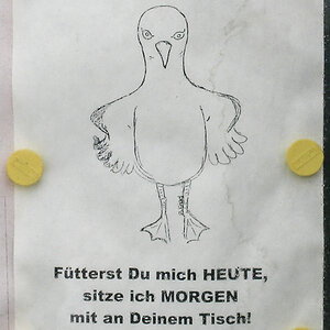 Schild Möwen füttern.jpg