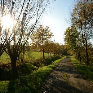 An den Weiden