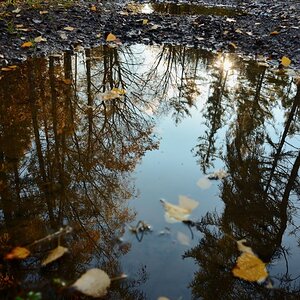 Spiegelung
