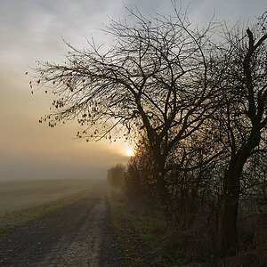 Novembermorgen