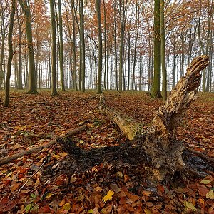 Schon lange tot