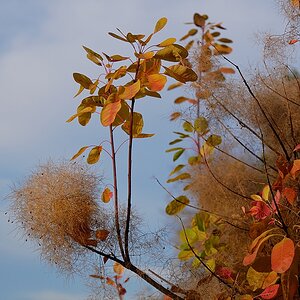P1070292aklein.jpg