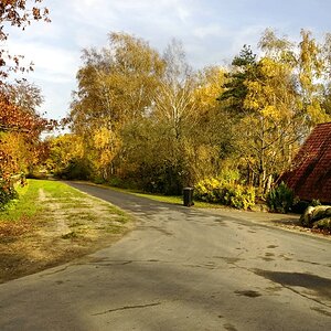 Oldenstädter Dorfstraße im Herbst.jpg