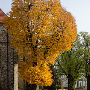 OF-49283.jpg