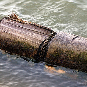 DSC_0637Pxl.jpg