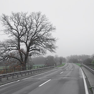 OF2_34538.jpg