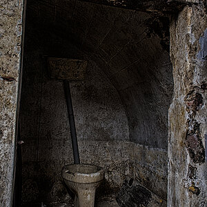 DSC_7445.jpg