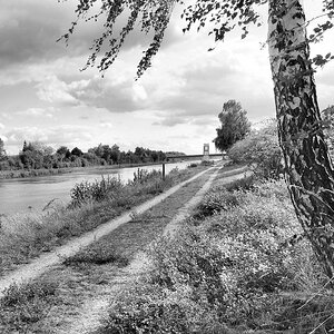 Am Elbe-Seiten-Kanal.jpg