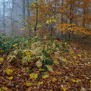 D8E_0098.jpg