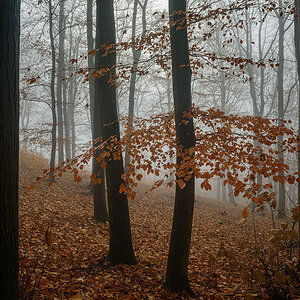D8E_0104.jpg