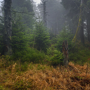 D8E_0168.jpg