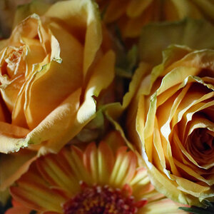 _DSC6900NF.jpg
