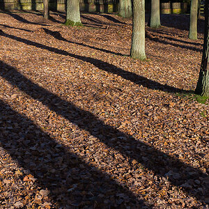 Die Schatten werden länger.jpg