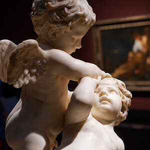 DSC_0391_DxO-1.jpg