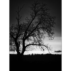 MorgenDSC_2965.jpg