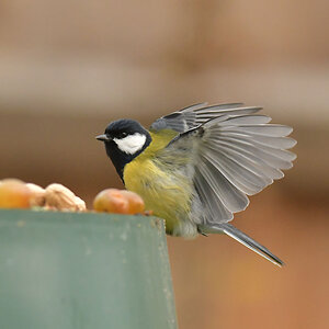 NF_DSC_8834.jpg