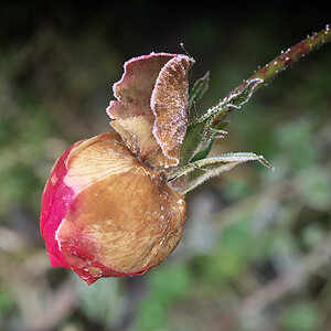 DSC_5654.jpg