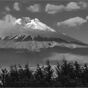 DSC_6909.jpg