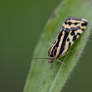 _D507438-n.jpg