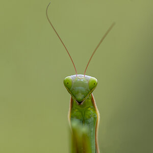 _D507852-n.jpg