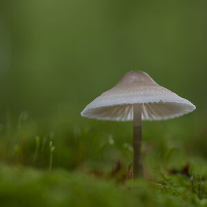 _D508407.jpg