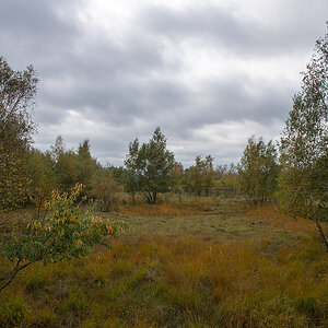 _D805801.jpg