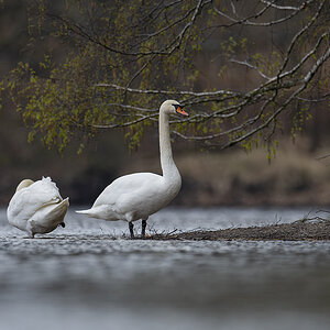 rk_20190406_505770.jpg