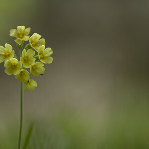 rk_20190424_505980-n.jpg