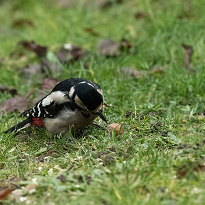 a_DSC_9219.jpg