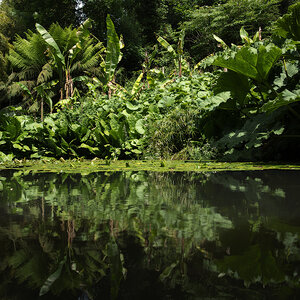 3-Heligan.jpg