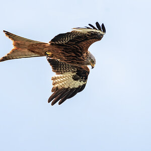 OF2_28011.jpg