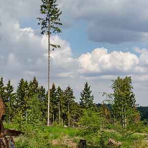 OF-58966.jpg