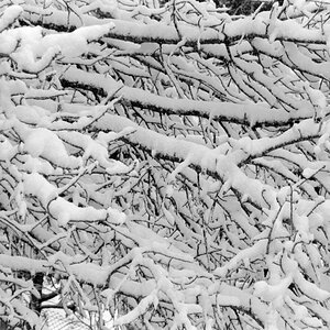 Der erste Schnee