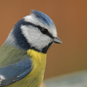 UliGraphie_DSC_9426.jpg