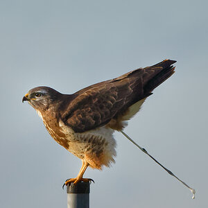 D72_5266_DxO-1.jpg