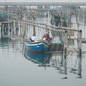 Chioggiabootff.jpg