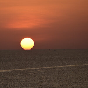 DSC_9578.JPG