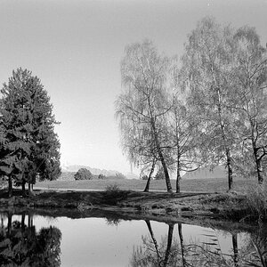 Herbst am Teich