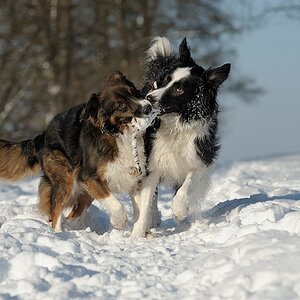 2 Freunde im Schnee