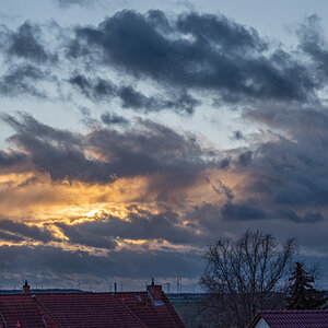 OF2_35226.jpg