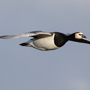 D72_5296_DxO.jpg